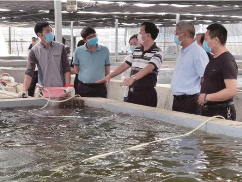 湖北省特殊之年 水產(chǎn)大省的特殊答卷及會(huì)議展覽服務(wù)